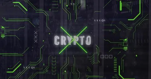 Image of crypto text and digital data processing over computer servers Stock Photos