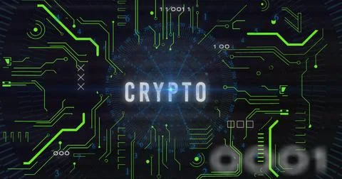 Image of crypto text with data processing on black background Illustrazione stock