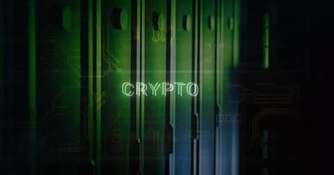Image of crypto text over data processing and computer servers Stock Illustration