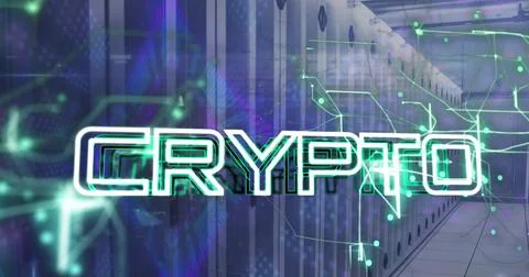 Image of crypto text over data processing and computer servers Stock Illustration