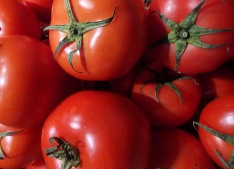 Image of cut tomatoes. Stock Photos