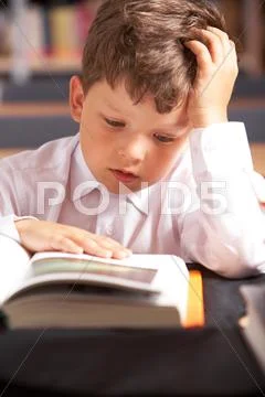 Image of cute schoolkid reading book in the library Stock Photos