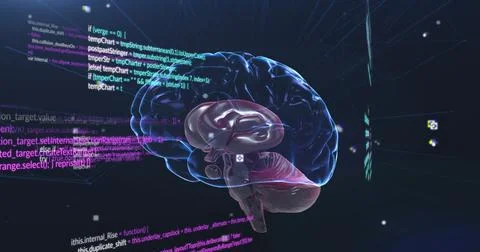 Image of data processing and brain on black background 库存插图