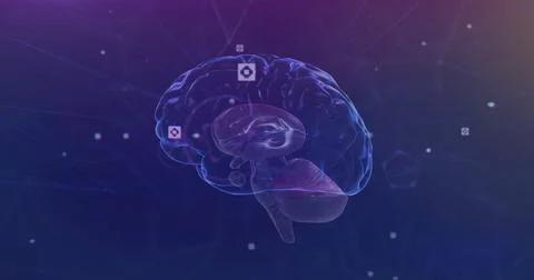 Image of data processing and brain over network and media icons on dark 写真素材
