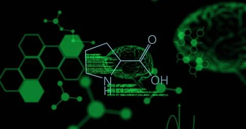 Image of data processing and brains over chemical formula on black background Stock Photos
