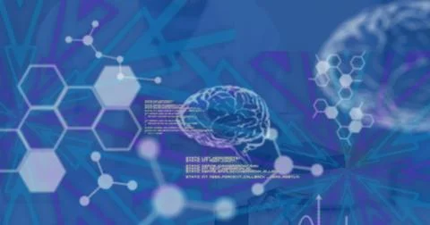 Image of data processing and digital brain over caucasian female scientist Stock Photos