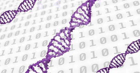 Image of data processing and dna strand on white background Foto stock