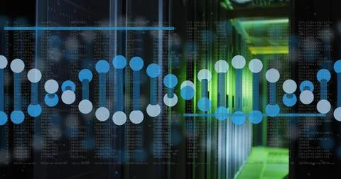 Image of data processing and dna strand over server room Foto stock