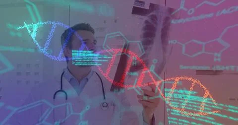 Image of data processing and dna strand spinning over caucasian male doctor 写真素材