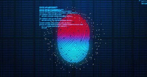 Image of data processing and fingerprint over binary coding Stock Photos