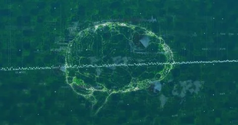 Image of data processing and human brain spinning over digital screen Ilustração Stock