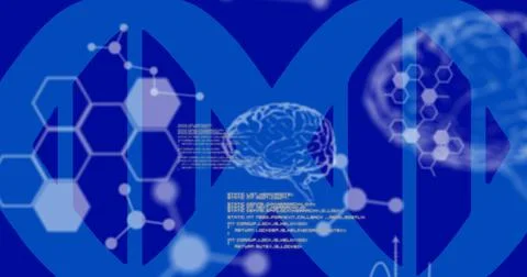Image of data processing and human brain model on blue background Illustrazione stock