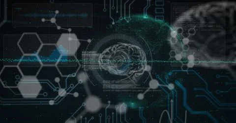 Image of data processing and human brains on black background Stock-Illustration