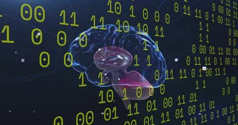 Image of data processing and icons over digital brain spinning 库存照片