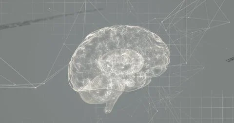 Image of data processing and network of connections with human brain spinning Illustrazione stock