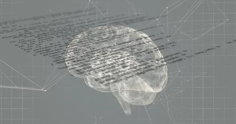 Image of data processing and network of connections with human brain spinning Stock-Illustration