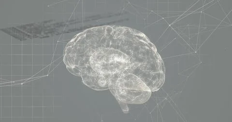 Image of data processing and network of connections with human brain spinning Ilustração Stock