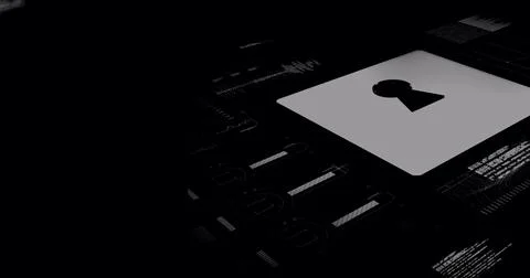 Image of data processing and online security digital padlock on black background Illustrazione stock