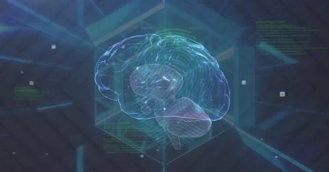 Image of data processing and rotating brain in tunnel on dark background Foto stock