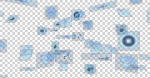 Image of data processing and scope scanning on screens on black background Illustrazione stock