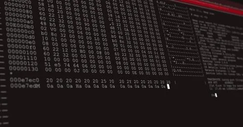 Image of data processing on black and red computer screen Illustrazione stock