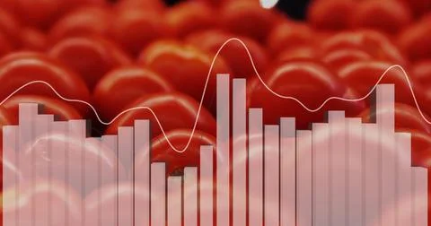 Image of data processing on diagram over fresh tomatoes Stock Photos