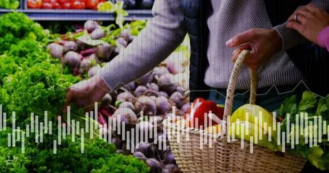 Image of data processing on diagram over caucasian man picking vegetables Stock Photos