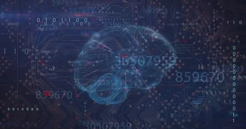 Image of data processing with digital brain over computer circuit board on black Stock Photos