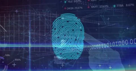 Image of data processing, fingerprint scanning and shields with padlock on navy 스톡 사진