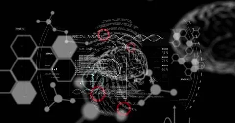 Image of data processing, human brains and dna strand spinning over biometric Illustrazione stock