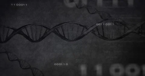 Image of data processing, numbers and dna over grey background Stock Photos