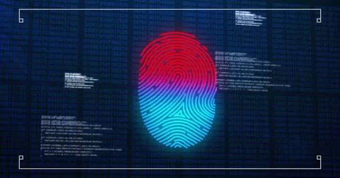 Image of data processing over biometric fingerprint on dark background Stock Photos