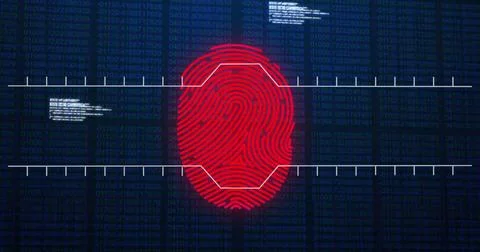 Image of data processing over biometric fingerprint on dark background Stock Photos