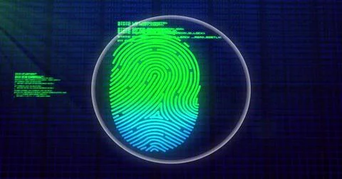 Image of data processing over biometric fingerprint on dark background Stock Photos