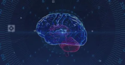 Image of data processing over brain Stockfoto's