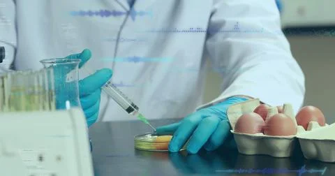 Image of data processing over caucasian scientist taking samples of eggs Stock Fotos