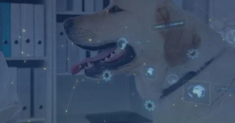 Image of data processing over caucasian male doctor with dog Foto stock