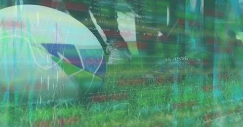 Image of data processing over diverse rugby players at stadium Foto stock
