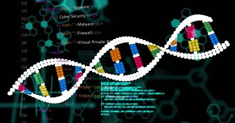 Image of data processing over dna strand on black background Stock Illustration