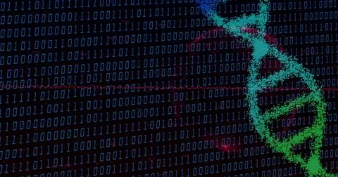 Image of data processing over dna strand on black background Illustrazione stock