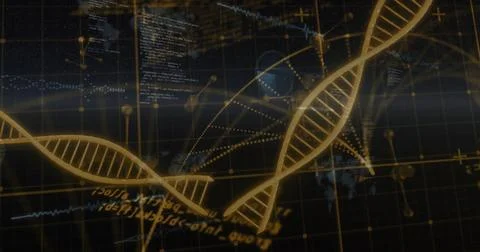 Image of data processing over dna strand Stock Illustration