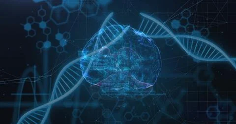 Image of data processing over dna strands and brain Stock Illustration