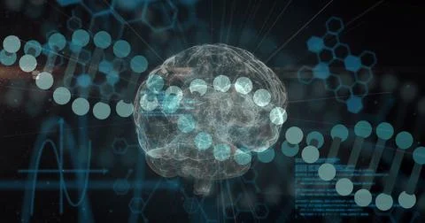 Image of data processing over dna strands and brain Stock Illustration