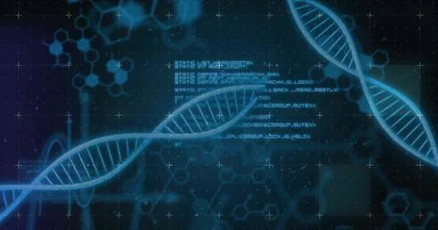 Image of data processing over dna strands on black background Stock Illustration
