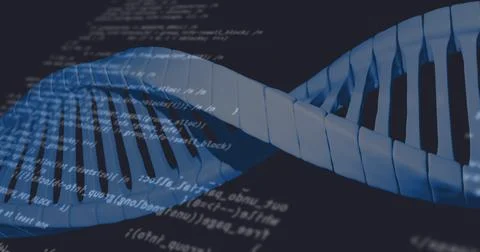 Image of data processing over dna strand on black background Stock Photos