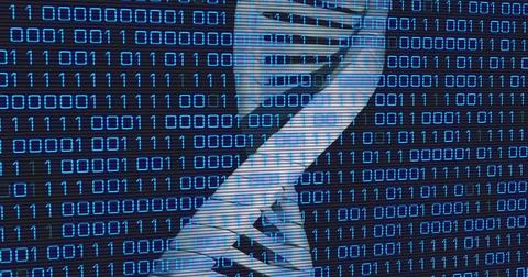 Image of data processing over dna strand on black background 写真素材