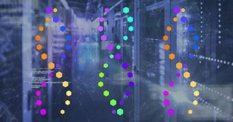 Image of data processing over dna strands and server room 写真素材