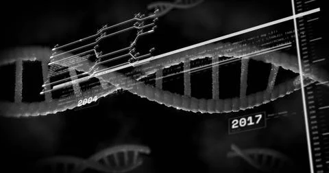 Image of data processing over dna strand spinning 스톡 사진