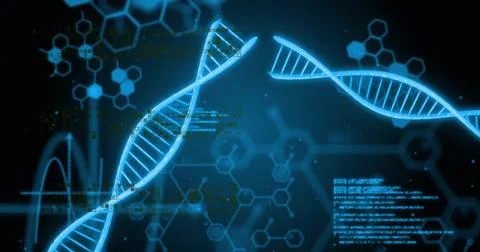 Image of data processing over dna strands Foto stock
