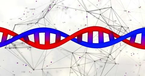 Image of data processing over dna strand 스톡 사진